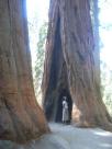 Trying to capture the size and scale