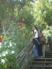 Telegraph Hill, watching the (wild) parrots
