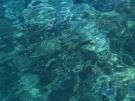 Deep, clear water Deep, clear water
