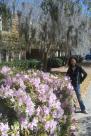 Beaufort, SC