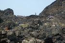 Who's that figure on the ridge? Who's that figure on the ridge?