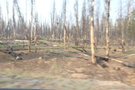 Recent Fires Recent Fires
