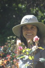 Rose test garden, Shore Acres Rose test garden, Shore Acres
