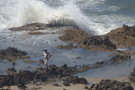 Cape Perpetua, OR Cape Perpetua, OR