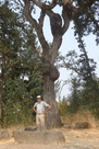 Skinner Butte Park, Eugene, OR Skinner Butte Park, Eugene, OR