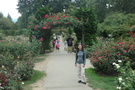 International Rose Test Garden International Rose Test Garden