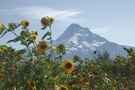 Draper Girls Country Farm, Mt. Hood, OR Draper Girls Country Farm, Mt. Hood, OR