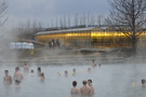 Hot Springs, Icelandic Horses, Geothermic Green-houses Hot Springs, Icelandic Horses, Geothermic Green-houses